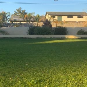 Meet your Posher, Dave